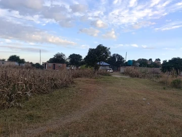 Land