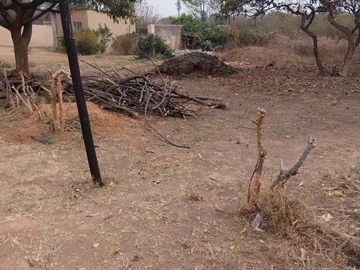 Stands & Residential Land