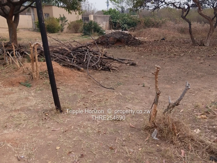2060 sqm Prospect Stand — Main Road Frontage, Outbuilding