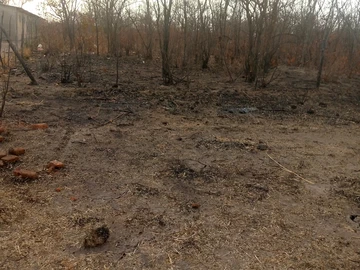 Farm & Agricultural Land