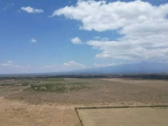 Farm & Agricultural Land