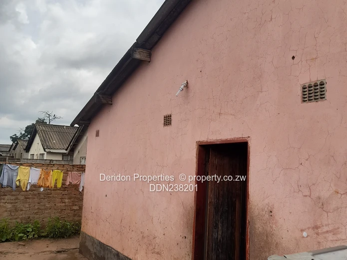 Investor s delight  (Sole Mandate)