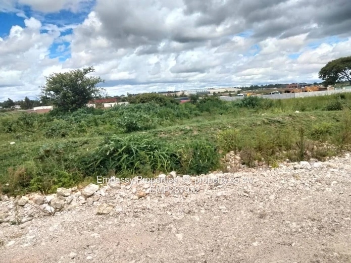 Investment opportunity