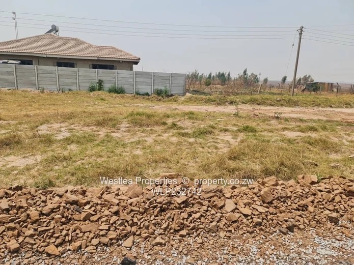 An opportunity not to miss