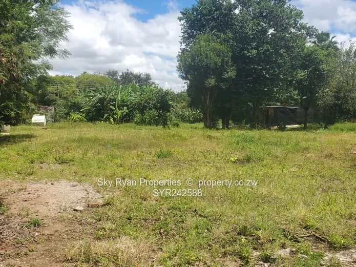 Avondale Stand For Sale