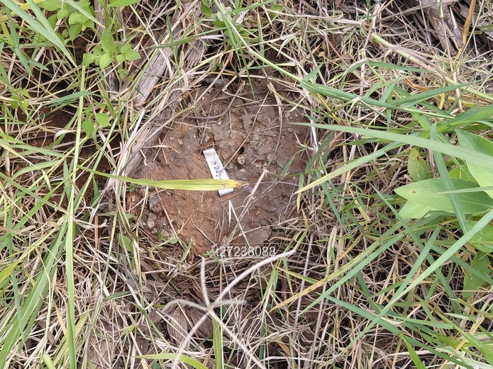 New dream awaits secure your stand in Tynwald South