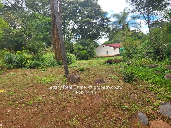 Greystone Park Stand For Sale With Borehole