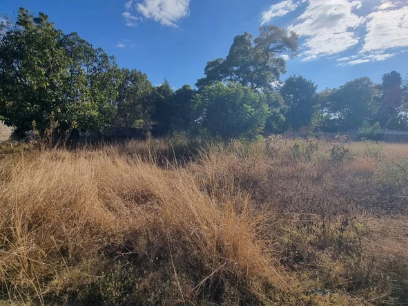 Stands & Residential Land