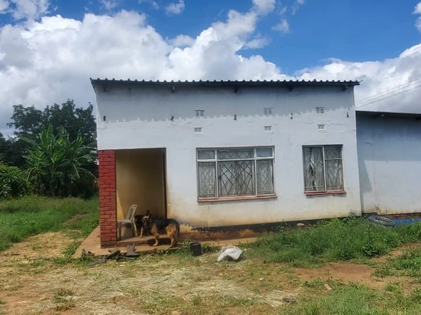 Farm & Agricultural Land