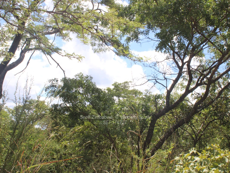 Farms & Agricultural Land for Sale in Gweru East SEF176727