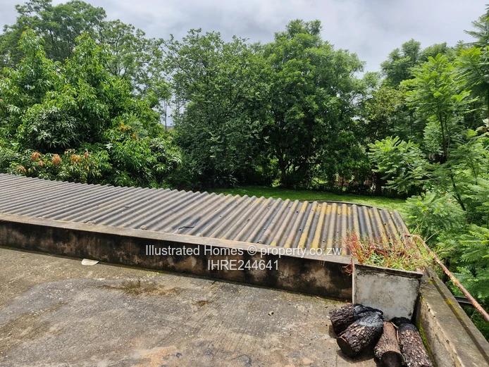 Interesting Investment Opportunity 