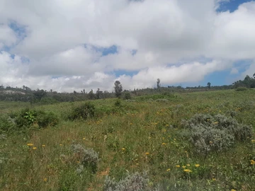 Farm & Agricultural Land