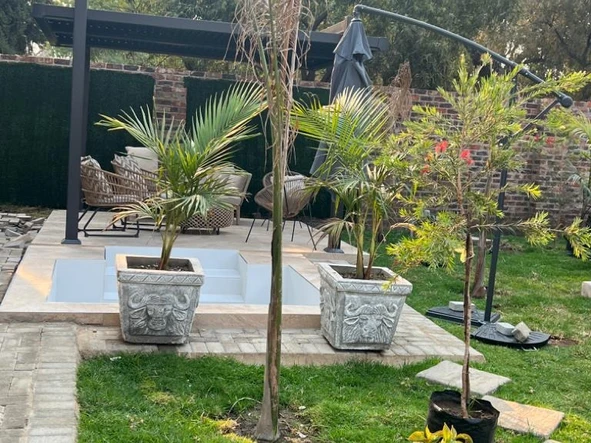 3 Bedroom Flat & Apartment