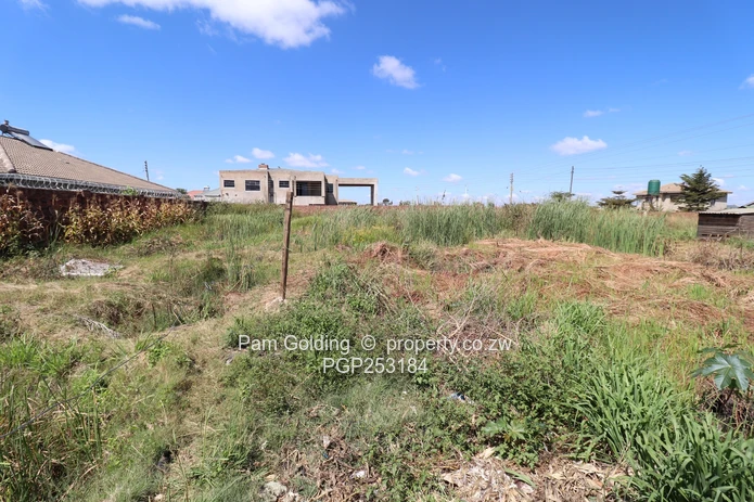 Sandton Park Stand for Sale
