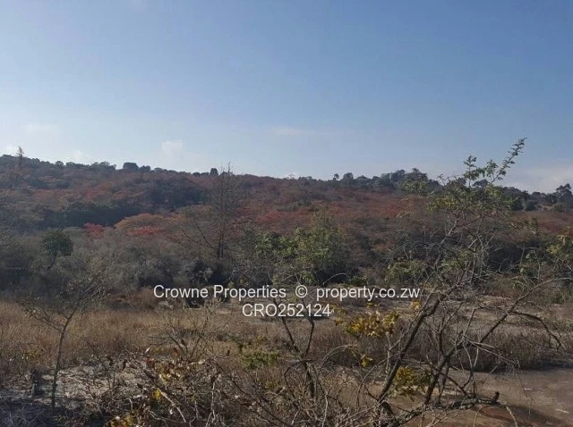 Plot For Sale