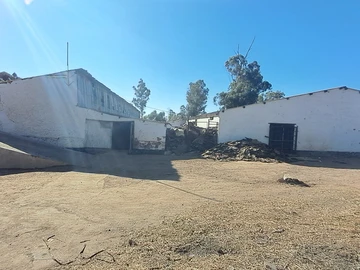 Farm & Agricultural Land