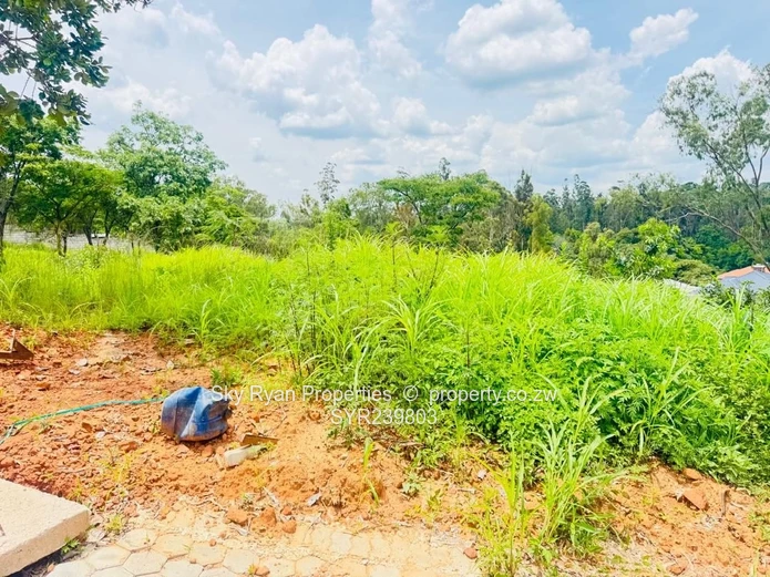 Carrick Creagh Villas Stand  For Sale