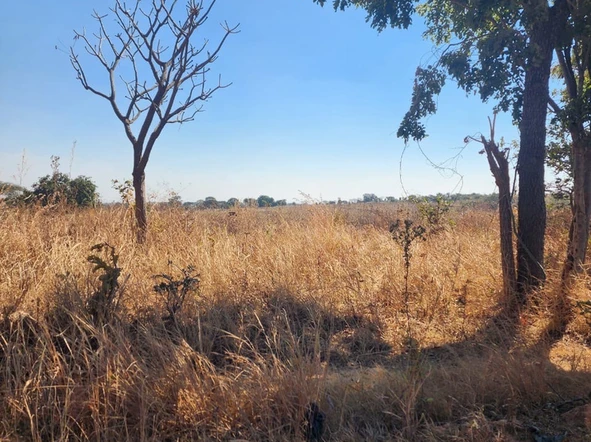 Farm & Agricultural Land