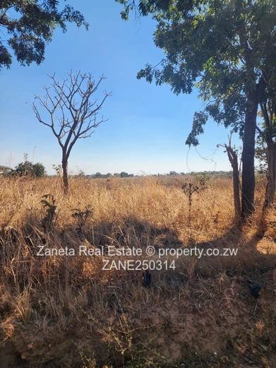 20ha Agro-plot , Hurungwe 