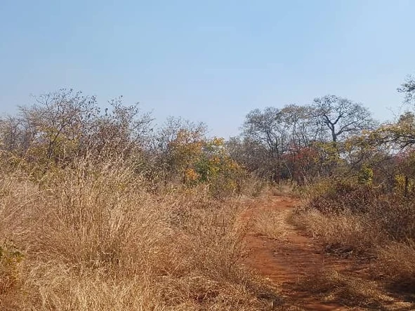 Farm & Agricultural Land