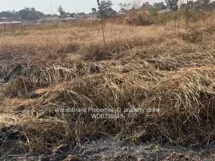 Prime Residential Stand In Glaudina (Sole Mandate)