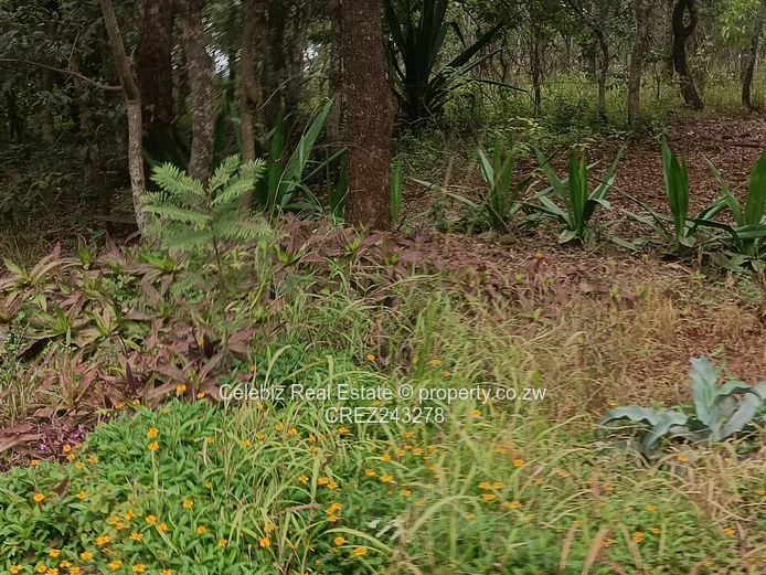 Prime land for sale in Glen Forest 