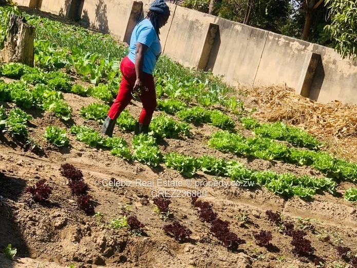 Waterfalls house for sale 