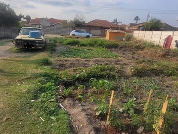 Stands & Residential Land