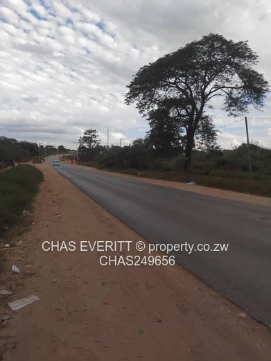 Prime Commercial Stand For Sale