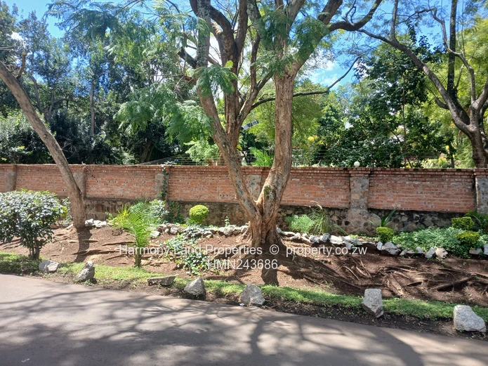 Greystone Park - Beautiful 4 bedroomed house to Let