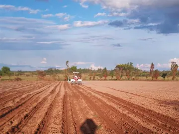 Farm & Agricultural Land