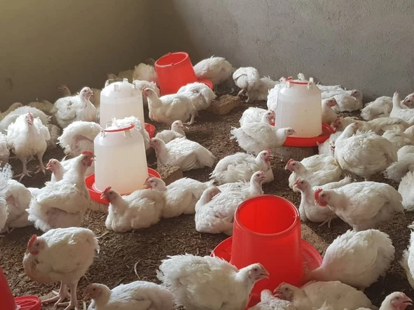 Shop & Retail Property