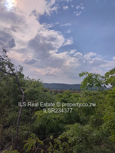 LakeView Stands for Sale