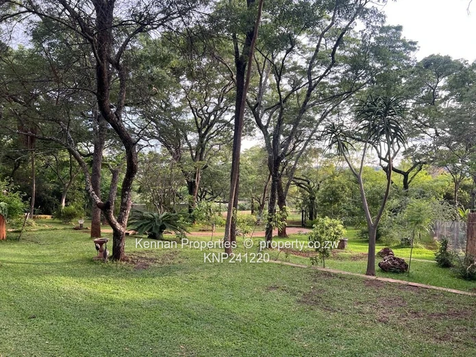 Spacious property on 7,5acres of land with beautiful msasa trees