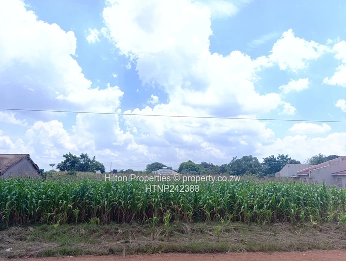 2,112m² Knowe Plot — Maize-Backed, Gravel Road Frontage
