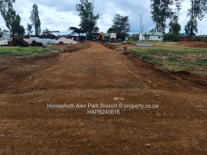 Borrowdale Tall Trees Estate Stands on Sale