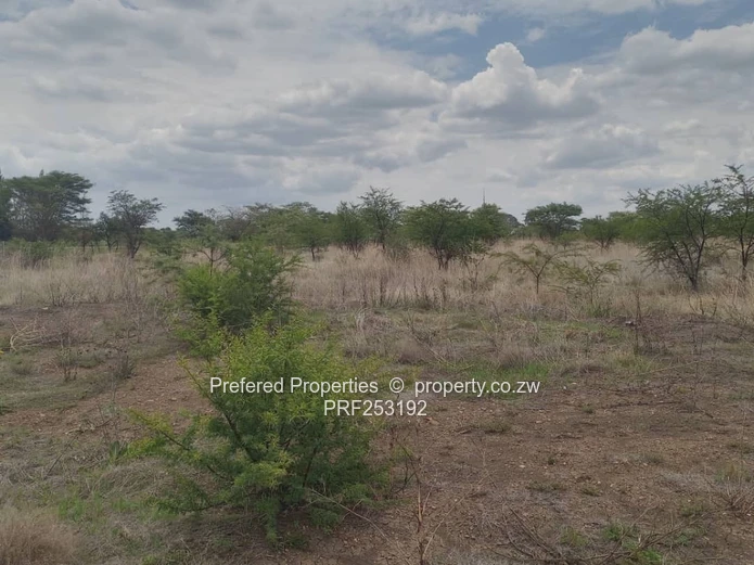 Ridgemont 2,000m² Stand — Undeveloped Bush Plot, Tarred Road (Sole Mandate)