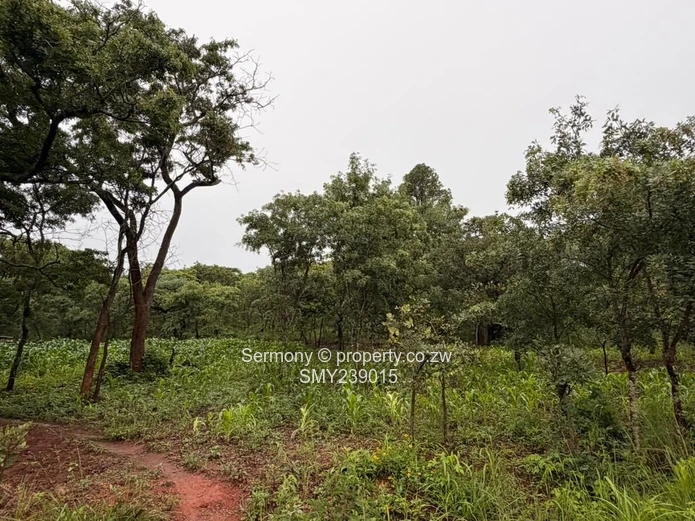 Residential stand for sale