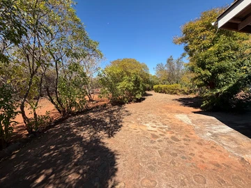 Farm & Agricultural Land