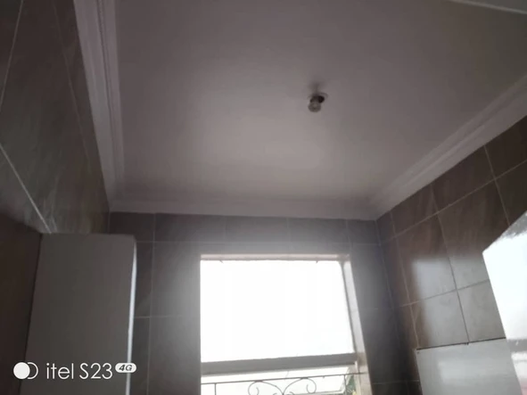 Flat & Apartment