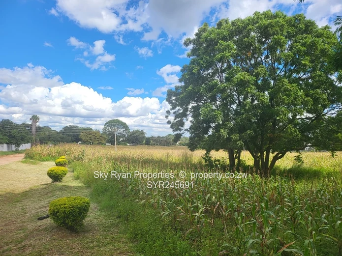 8 Stands For Sale In Borowdale