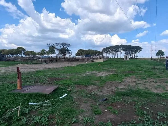 Farm & Agricultural Land