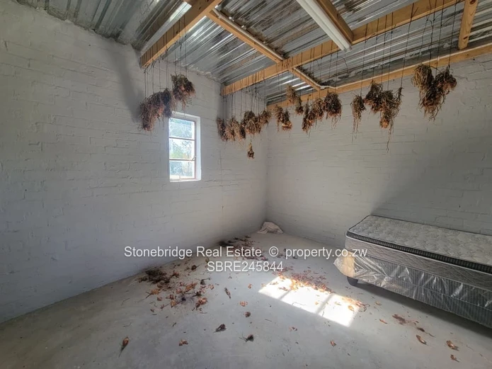 Douglasdale multi-structure Investment Opportunity