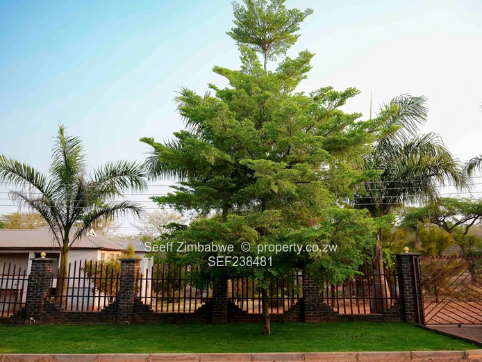 Shawasha Hill For Rent