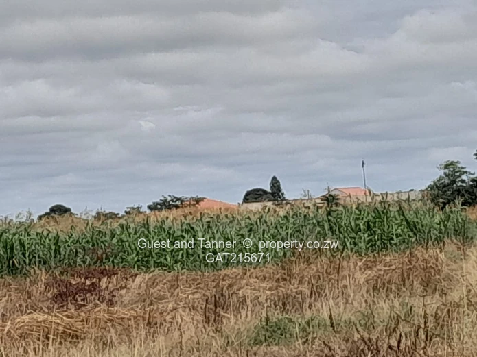 Negotiable Residential Stand for Sale – Baron Brooke, Mashonaland East