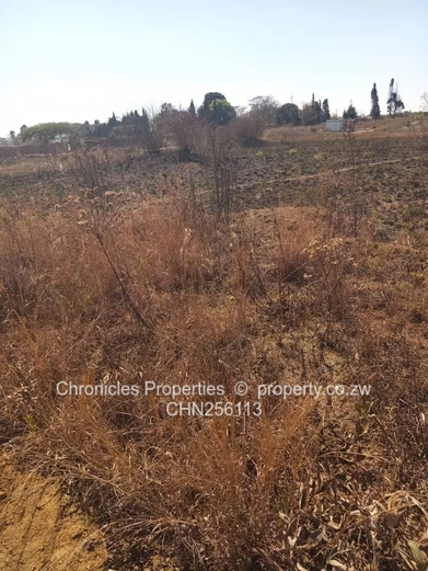 Nyazura Township Stand For Sale