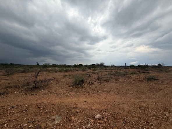 Farm & Agricultural Land