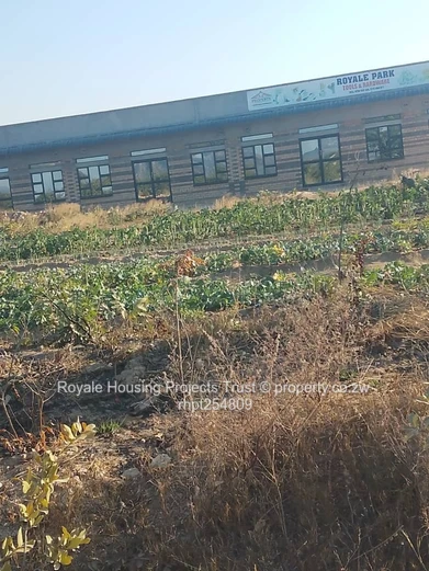 Residential Stands For Sale - Royale Park Mutoko (Sole Mandate)