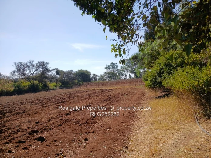  Prime 5-Acre Plot For Sale | Douglasdale