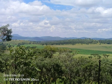 Farm & Agricultural Land